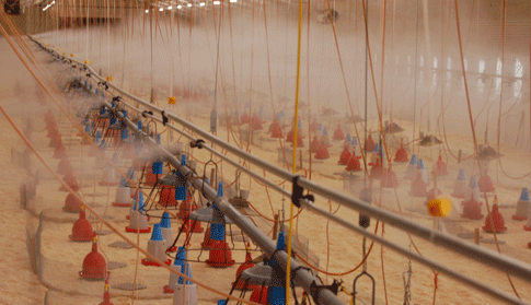 Humidifying Systems 